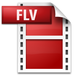 20090617we-adobe-flash-video-flv-icon