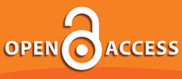 20091106fr-open-access-logo