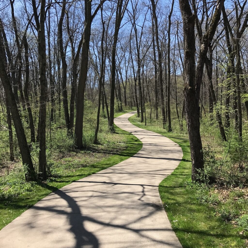 bike trail through wooded area