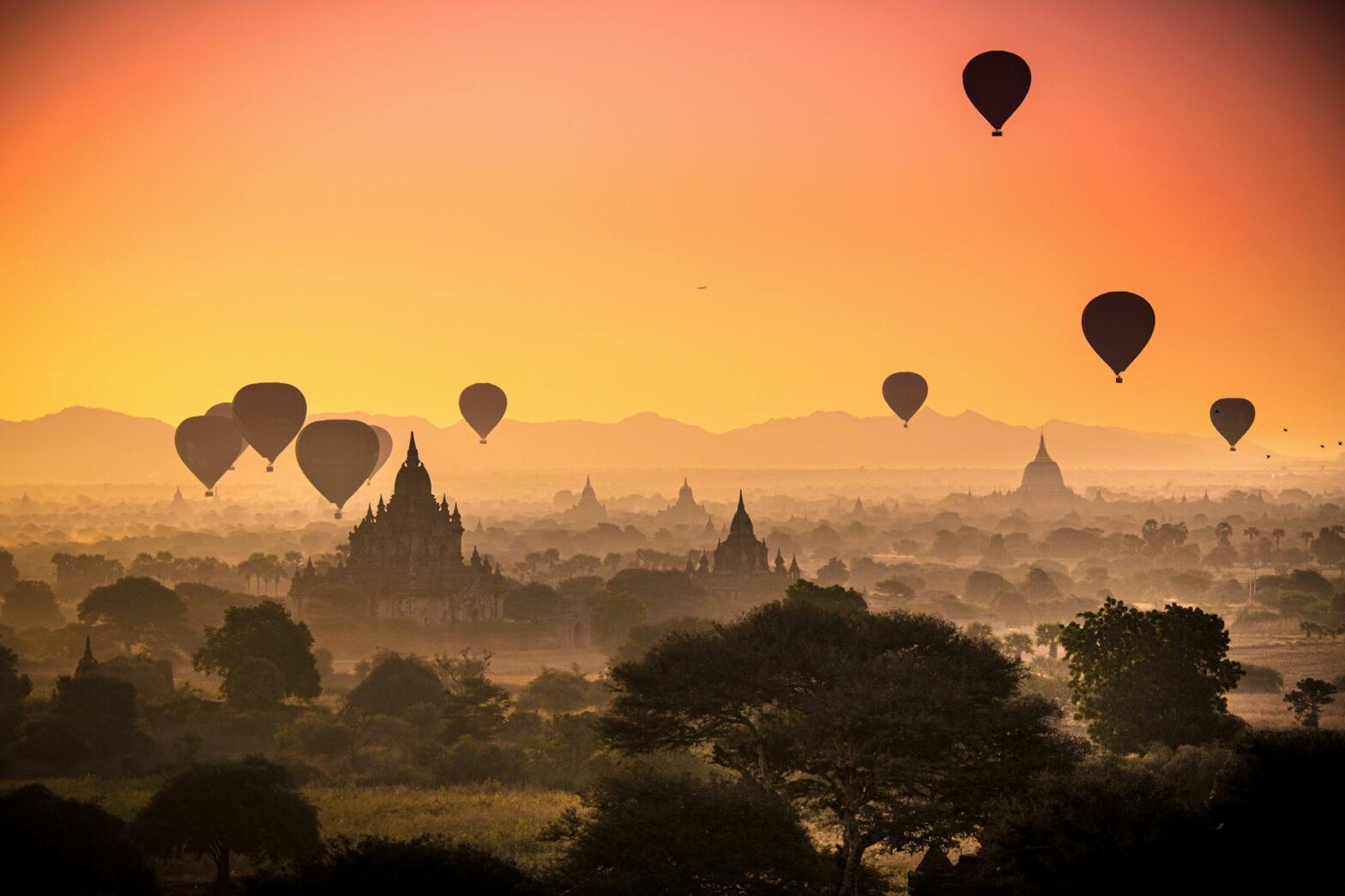 silhouette of hot air balloons